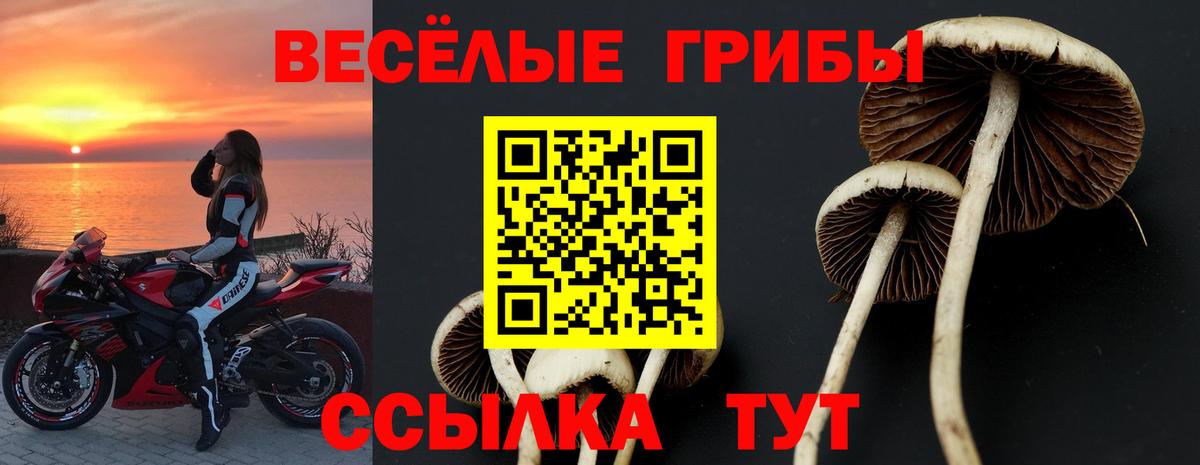наркошоп  Псилоцибиновые грибы прущие грибы  Псилоцибиновые грибы мухоморы  Вход с VPN  Нурлат 