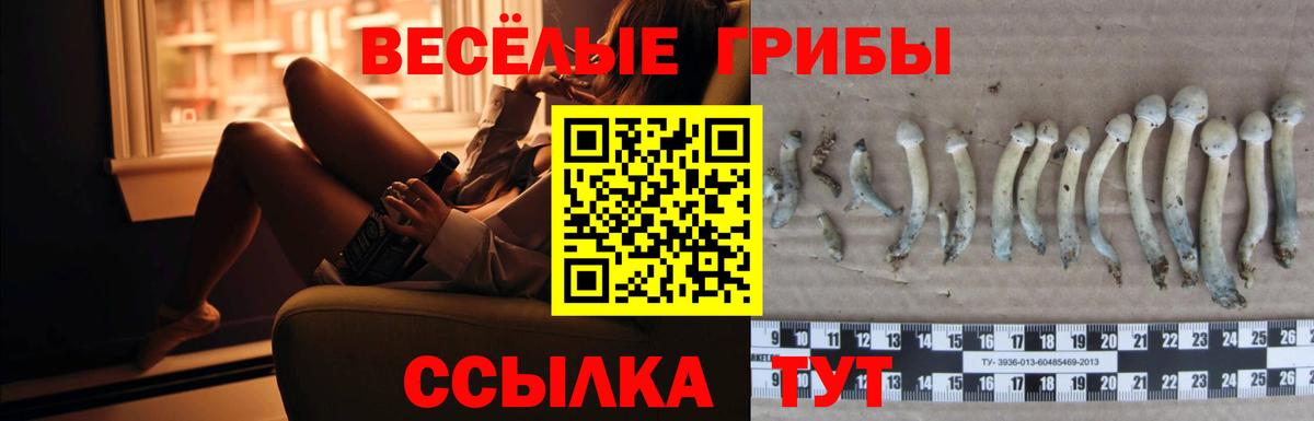 Псилоцибиновые грибы прущие грибы Нурлат